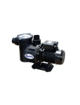 Pool Pump And Motor Quality Swimflo 2 1.1KW - Pps Online