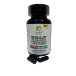 Shilajit 8-IN-1 Supplement