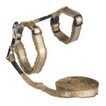CAT Rogz Z Sparkle 11MM Small H-harness And Lead Combination Bronze Waggs Pet Shop