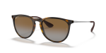 - Erika - Light Havana brown - 54