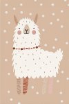 Cute Alpaca Canvas Print - 600MM X 600MM