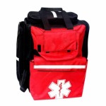 Bls Basic Life Support Content Included