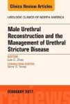 Male Urethral Reconstruction And The Management Of Urethral Stricture Disease An Issue Of Urologic Clinics Hardcover