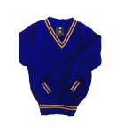 Prof Royal And Gold Striped Jersey - Unisex