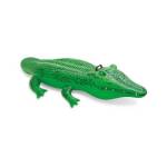 Lil Gator Ride On