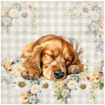FSC2384 Printed Blanket Assorted