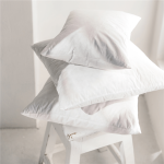 Feather Scatter Cushion Inner 45X45