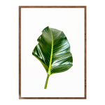 St Tropez Leaf I - A3