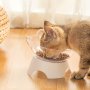 Elevated Pet Inclined Food Bowl Water Bowl Transparent Plastic Cat Dish Bowl For Pet Cervical Spine Protection