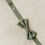 Bow Tie