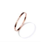 DESTINY Amiyah Titanium Bracelet