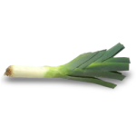 Leeks Porbella 200 Plug Tray