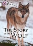 The Story Of The Wolf - Band 17 DIAMOND Paperback
