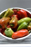 Capsicum Candy Cane Red - Sweet Pepper Seed - 5 Raw Seed