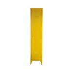 The Stand Up Locker