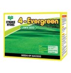 STARKE AYRES Winter Green Seed