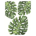 3PK Tropical Frame Print Tropical
