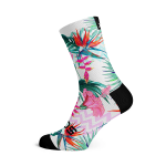 Sox Footwear – Pastel Paradise Socks