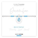 Birthstone Keepsake Bracelets - December