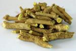 Silene Capensis African Dream Root Ubulawu 500G