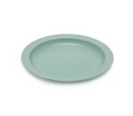 Sage New Standard Dinner Plate