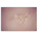 Blush Dreams 5 Art Print - A4 No Frame Print Only