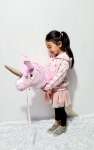 Hobby Horse On A Stick