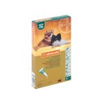 Dog - Small 1 - 4KG