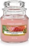 Candle Sun Drenched Apricot Small Jar Retail Box No Warranty   Product Overview The Traditional Design Of Our Signature Jar Cand