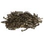 Safety Pins For Jewelry Making 200 Pack Brass Bronze