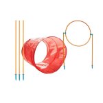 Zip & Zoom Outdoor Agility Kit