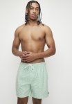 RVCA Barnes Elastic Short - Green Haze Floral