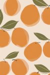 Oranges Canvas Print - 600MM X 600MM