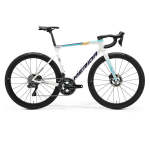 Scultura Team Disc 2025 - XL