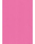 Rexel Rexpro Prima Board Bright Pink – 1220PI