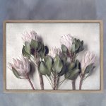 Pale Proteas 5 Art Print - 100CM X 150CM Framed Canvas With Natural Wood Frame