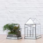 Terrarium - Deco House - Medium Excl. Plants