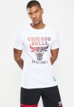 NBA Ombre Print T-shirt: Bulls - White