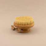 Body Brush With Natural Bristles - Natural Bristle Body Brushes: Pack Of 3