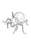 Toktokkie Beetle Single Line Art Print - A4