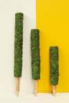 Moss Pole - 30CM