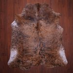 As Grade Nguni Hide 676 Tricolor M - Medium Tricolor Speckled