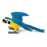 Blue And Gold Macaw By