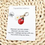 1PC 2PCS Charming Ladybug And Daisy Keychain Alloy Material Flower & Animal Design Decorative Lobster Clasp Key Ring Encourageme