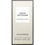 David Beckham Collection Majestic Honey Eau De Parfum 50ML