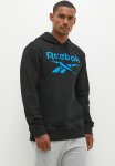 Reebok Identity Big Logo Fleece Hoodie - Black