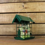 Suet Slab Holder
