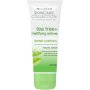 Clicks Skincare Collection Tea Tree + Mattifying Actives Facial Mask 100ML