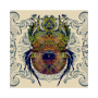 Glaresis Beetle Art Print - 60CM X 60CM / Fine Art Print