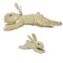 Nature - Rabbit - Regular